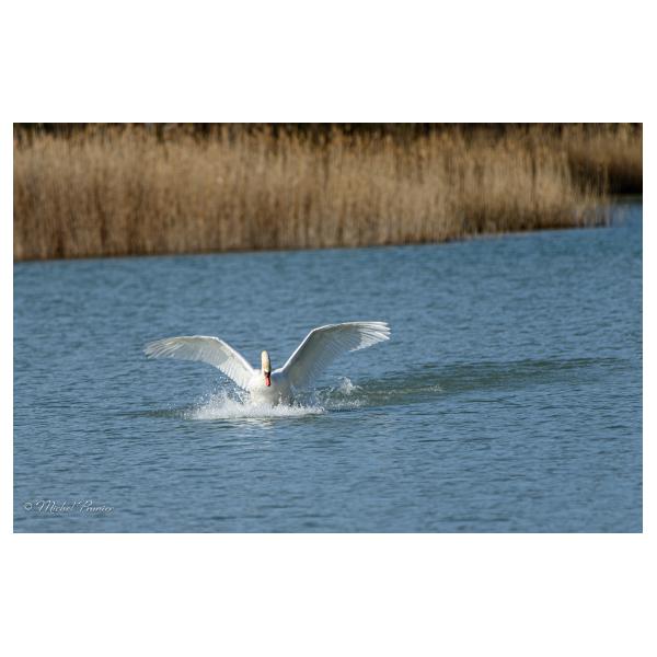 PHOTO84, CLUB, 84 , LUBERON